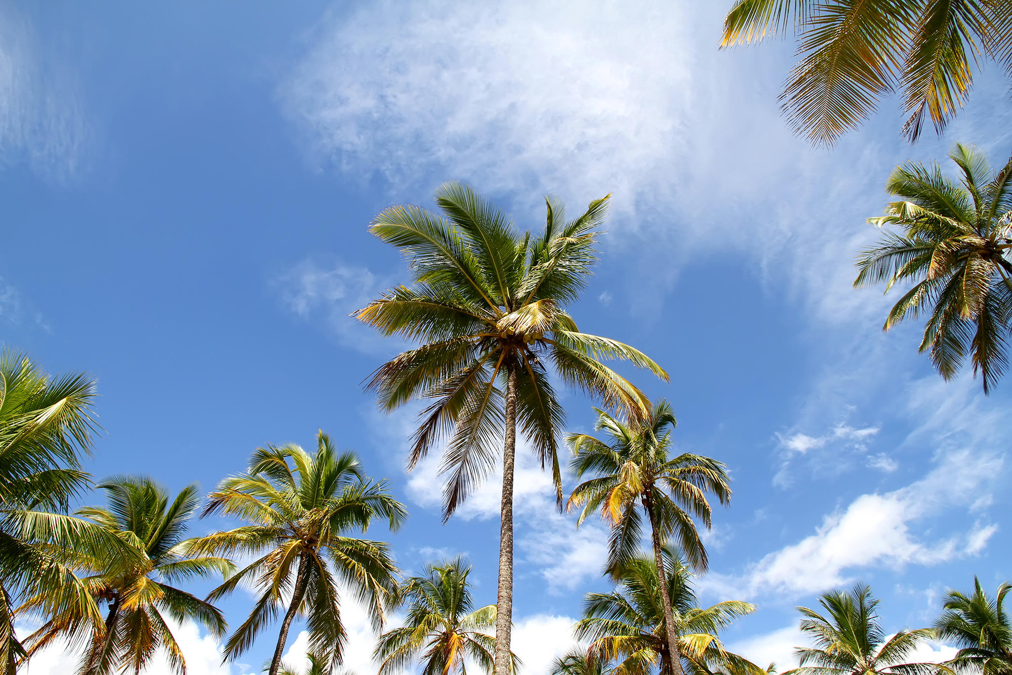 Ocean Ridge, Palm Beach County's Hidden Gem